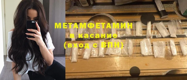 прущие грибы Осташков
