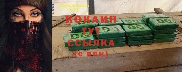 прущие грибы Осташков