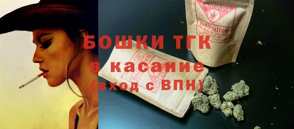 молекула духа Осинники