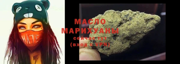 молекула духа Осинники