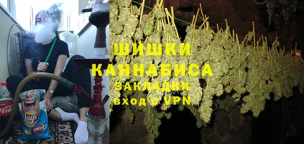 прущие грибы Осташков
