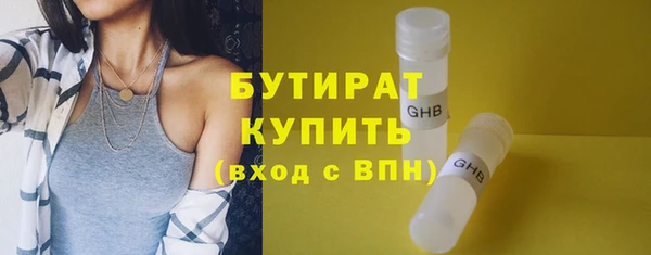 индика Вяземский