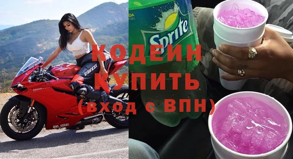 прущие грибы Осташков