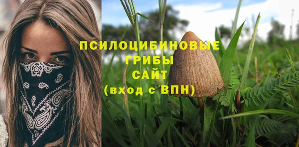 PSILOCYBIN Вязьма