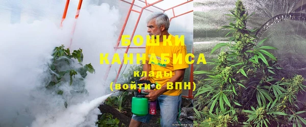 молекула духа Осинники