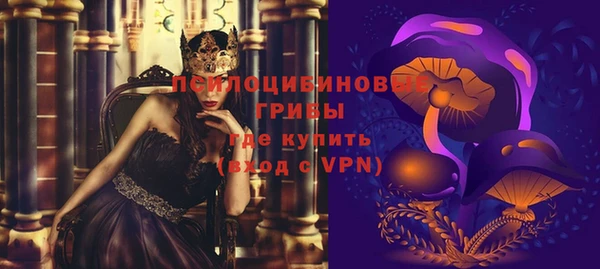 прущие грибы Осташков