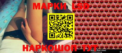 стаф Кингисепп