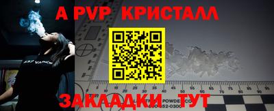 стаф Кингисепп