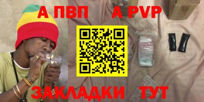 стаф Кингисепп