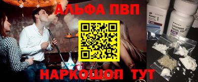 стаф Кингисепп