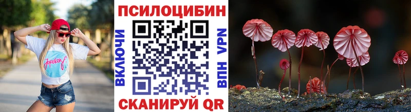маркетплейс состав  как найти наркотики  Лянтор  Псилоцибиновые грибы Psilocybine cubensis 