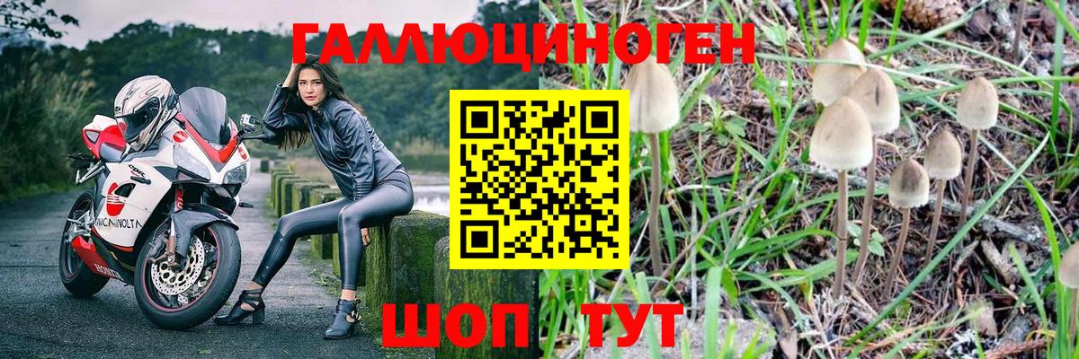 Галлюциногенные грибы мицелий Лянтор