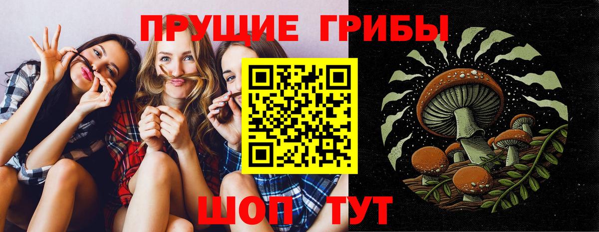 Лянтор  Галлюциногенные грибы прущие грибы  Вход с VPN 